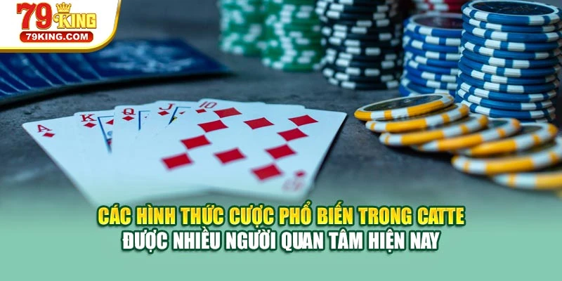 Các hình thức cược phổ biến trong Catte được nhiều người quan tâm hiện nay