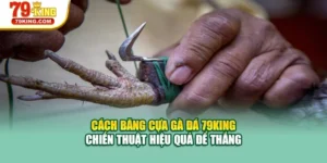 Cách Băng Cựa Gà Đá 79KING – Chiến Thuật Hiệu Quả Để Thắng