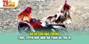 Đá Gà Cựa Dao 79KING – Trực Tuyến Hấp Dẫn, An Toàn Và Thú Vị